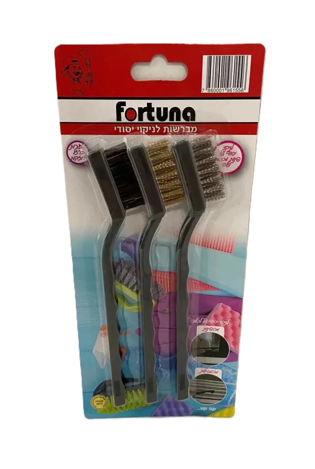 מברשות לניקוי יסודי